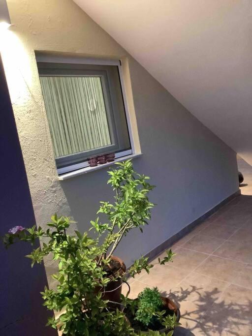 Ng Luxury Apartments At Nea Kallikrateia No 1 المظهر الخارجي الصورة